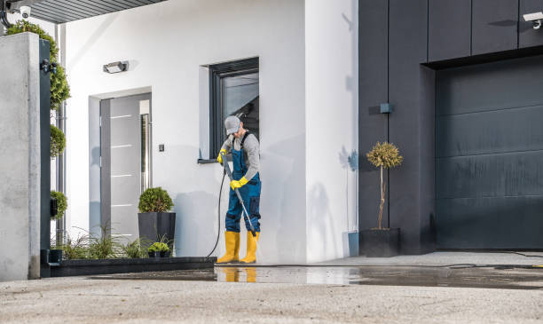 Best House Exterior Washing  in Logan, NM